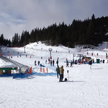Agreable Dans La Les Gentianes, Aux Pieds Des Pistes De Pyrenees 2000 *