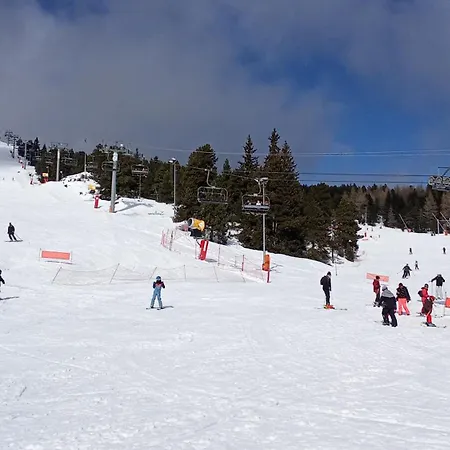 Апартаменты Agreable Dans La Les Gentianes, Aux Pieds Des Pistes De Pyrenees 2000 Bolquere